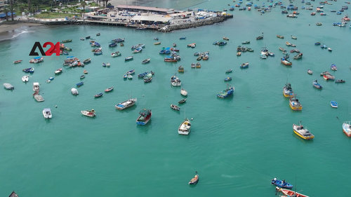 Хууль бус загас агнуурын улмаас далайн экосистем сүйрч байна